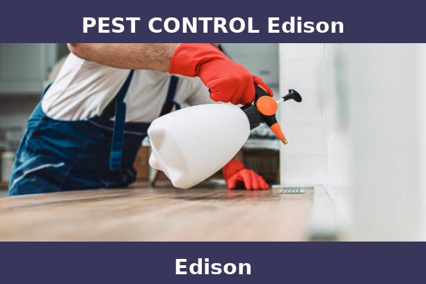 PEST CONTROL Edison